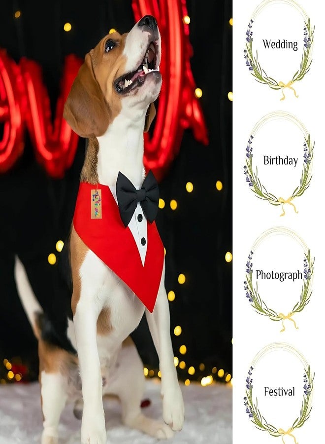 Western Era Dog Tuxedo Collar - Stylish Pet Formal Wear for Dogs & Cats | Comfortable for Weddings, Parties, Photoshoots, Events, Celebrations | Bowtie Design for a Dapper Look (Red & Black, Medium) - Image 5